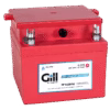 G243 DRY BATTERY LEAD ACID