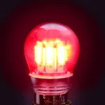 13-22437 RED LED BULB