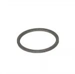 100951X100WL WASHER