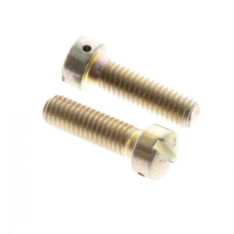 A1635-121 SCREW