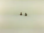 NAS464P3A3 BOLT