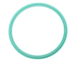 S33756 SCRAPER RING
