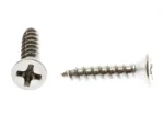 6RX5/8FHASS SCREW