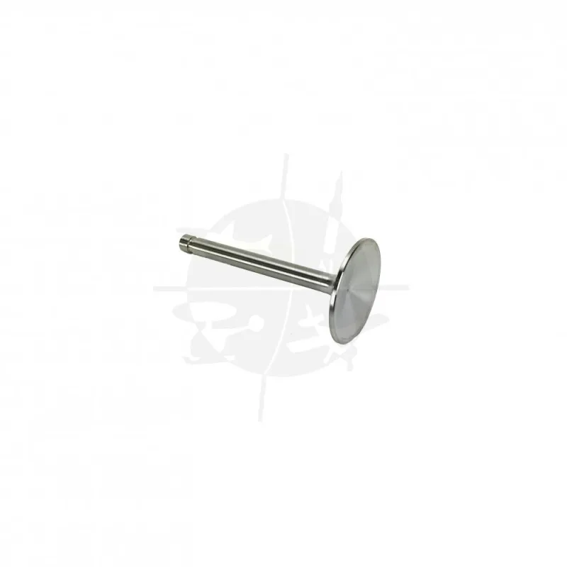 17A23938 VALVE-INTAKE