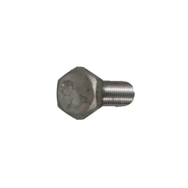 2540174 SCREW CAP HEX HEAD