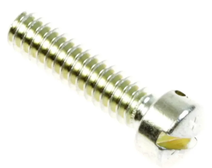 399847 SCREW