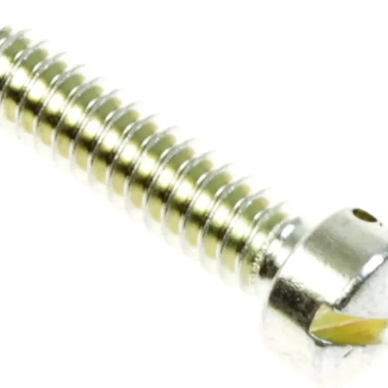 399847 SCREW