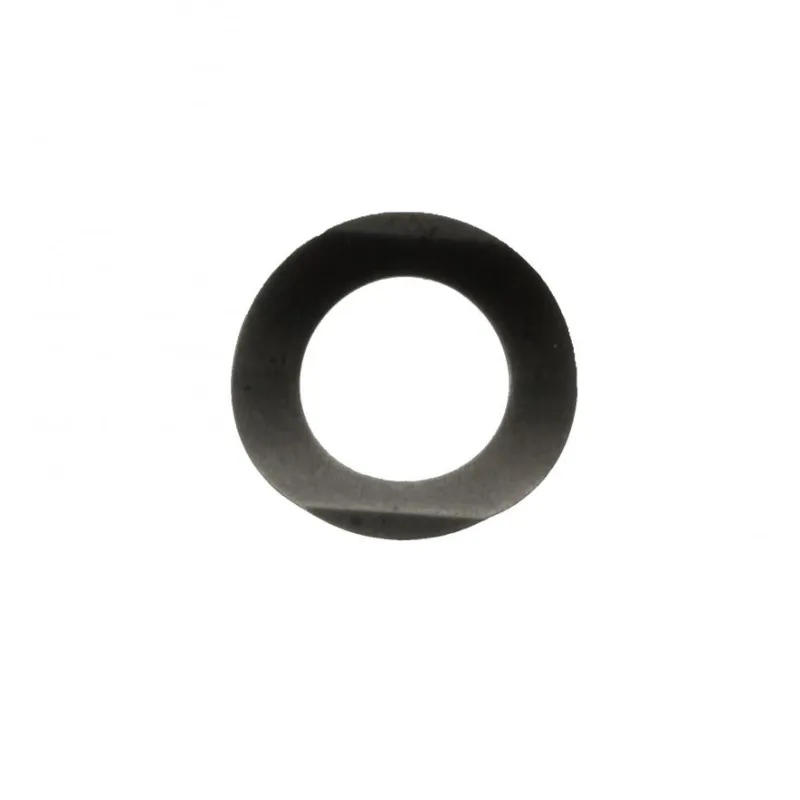 P19821 WASHER SPRING