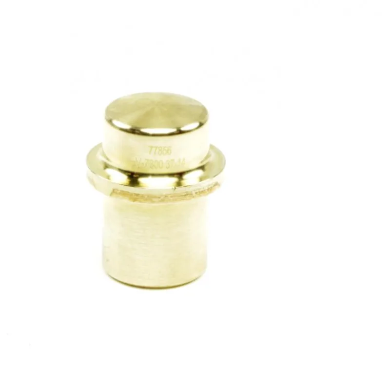 77856 PLUG-PISTON PIN