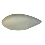 Stearman Fender – M238000