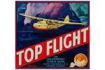 Postcard Top Flight Orange Label