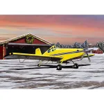 Holiday Card Aerial Application (10Pk)