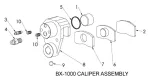 Bleeder Screw