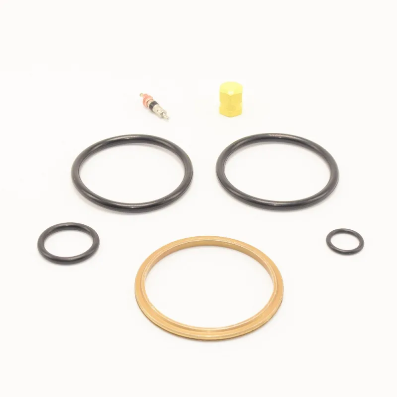 TB76NS-1 BEECH 76 N STRUT KIT